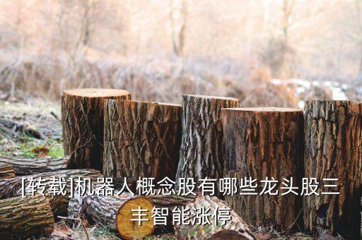 [轉(zhuǎn)載]機(jī)器人概念股有哪些龍頭股三豐智能漲停