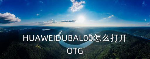 HUAWEIDUBAL00怎么打開OTG