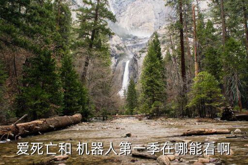 愛死亡和 機器人第一季在哪能看啊