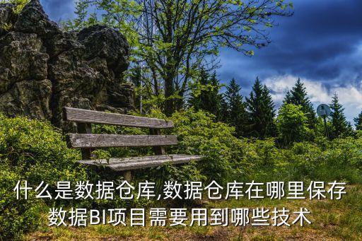 什么是數(shù)據(jù)倉(cāng)庫(kù),數(shù)據(jù)倉(cāng)庫(kù)在哪里保存數(shù)據(jù)BI項(xiàng)目需要用到哪些技術(shù)