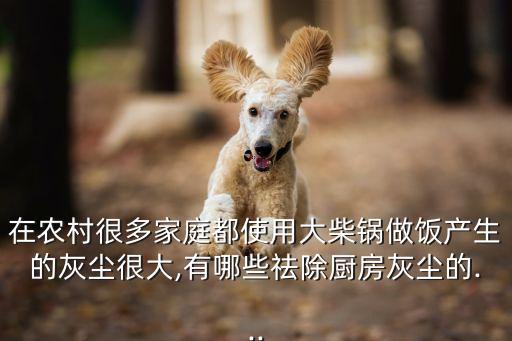 在農(nóng)村很多家庭都使用大柴鍋?zhàn)鲲埉a(chǎn)生的灰塵很大,有哪些祛除廚房灰塵的...