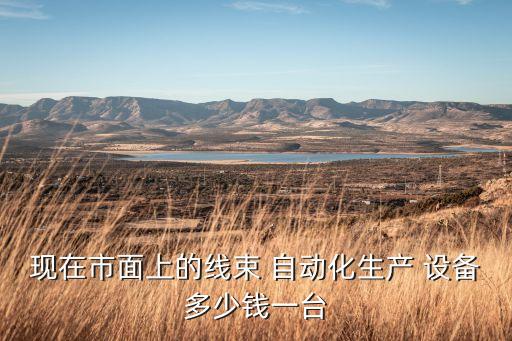 現(xiàn)在市面上的線束 自動化生產(chǎn) 設(shè)備多少錢一臺