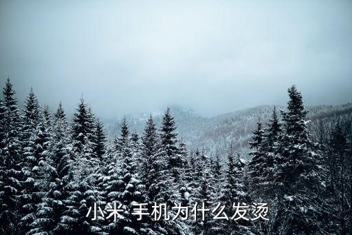 小米 手機(jī)為什么發(fā)燙