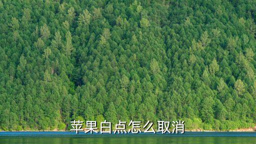 iphone小白點(diǎn)自動關(guān)閉,蘋果小白點(diǎn)怎么老是自動關(guān)閉