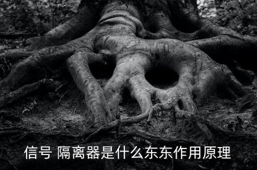 信號 隔離器是什么東東作用原理