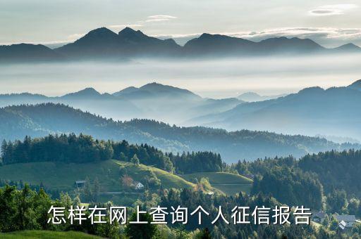 怎樣在網(wǎng)上查詢個人征信報告