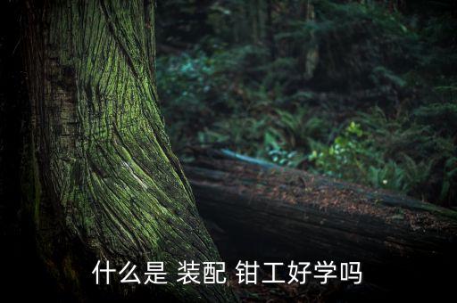 什么是 裝配 鉗工好學(xué)嗎