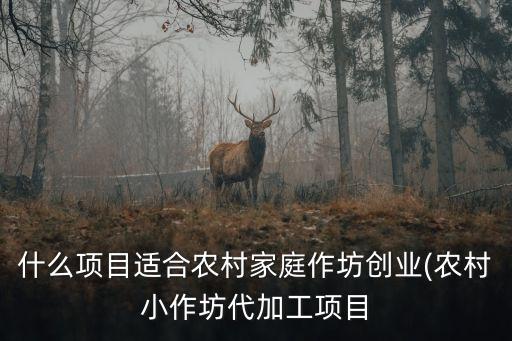 什么項目適合農(nóng)村家庭作坊創(chuàng)業(yè)(農(nóng)村小作坊代加工項目
