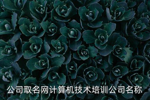自動(dòng)化類的公司取名,自動(dòng)化公司起名原則:簡(jiǎn)短明快