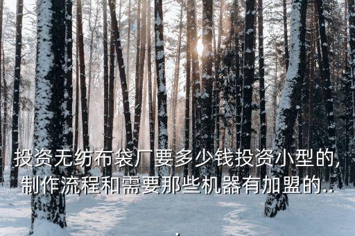 投資無紡布袋廠要多少錢投資小型的,制作流程和需要那些機器有加盟的...