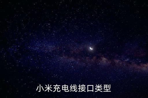 小米充電線接口類型