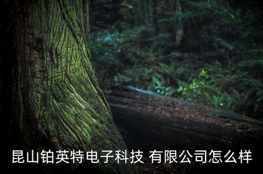 昆山鉑英特電子科技 有限公司怎么樣