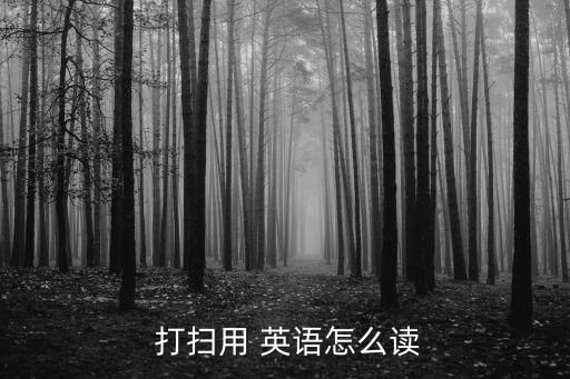 機器人打掃衛(wèi)生用英語怎么說,他們在打掃衛(wèi)生用英語怎么說