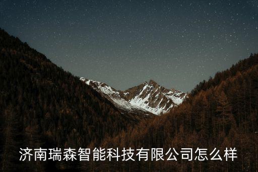 濟南瑞森智能科技有限公司怎么樣