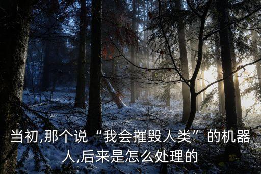 當(dāng)初,那個說“我會摧毀人類”的機器人,后來是怎么處理的