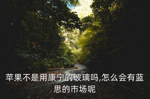 蘋(píng)果不是用康寧的玻璃嗎,怎么會(huì)有藍(lán)思的市場(chǎng)呢