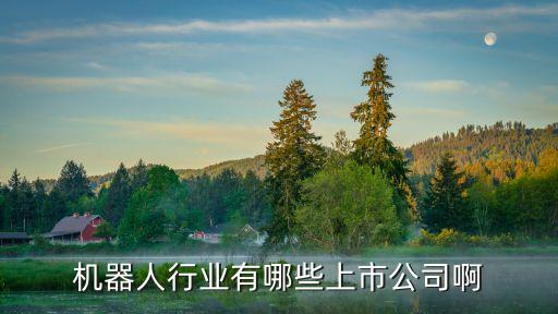 機(jī)器人行業(yè)有哪些上市公司啊