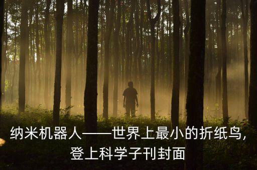 納米機器人——世界上最小的折紙鳥,登上科學(xué)子刊封面