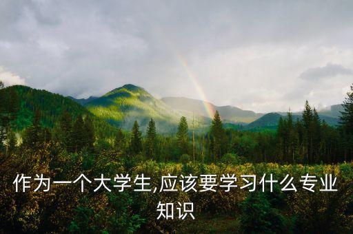 作為一個(gè)大學(xué)生,應(yīng)該要學(xué)習(xí)什么專業(yè)知識(shí)