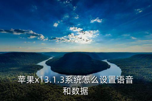 蘋果x13.1.3系統(tǒng)怎么設置語音和數(shù)據(jù)