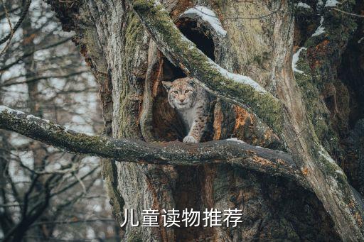 柯貝斯自動(dòng)化設(shè)備,導(dǎo)演兼演員麥溫·勒·貝斯柯