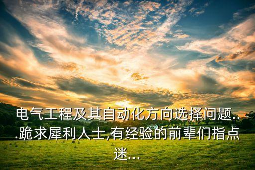 電氣工程及其自動(dòng)化方向選擇問題...跪求犀利人士,有經(jīng)驗(yàn)的前輩們指點(diǎn)迷...