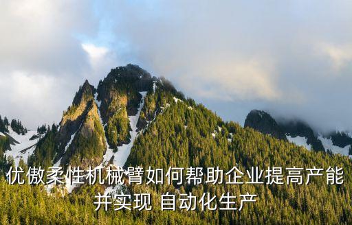 設(shè)備自動(dòng)化能力提升工程,西能自動(dòng)化設(shè)備工程有限公司