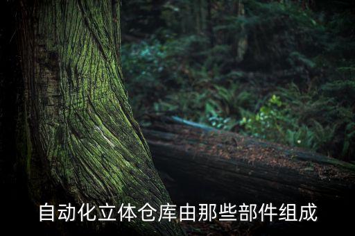自動化立體倉庫由那些部件組成
