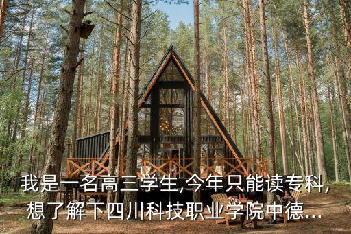我是一名高三學(xué)生,今年只能讀?？?想了解下四川科技職業(yè)學(xué)院中德...