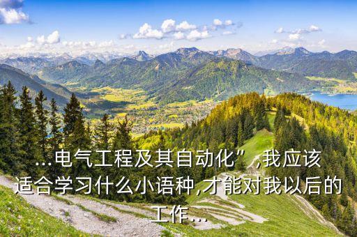 ...電氣工程及其自動化”,我應該適合學習什么小語種,才能對我以后的工作...