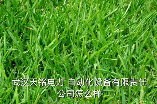 武漢有哪些自動(dòng)化好的公司