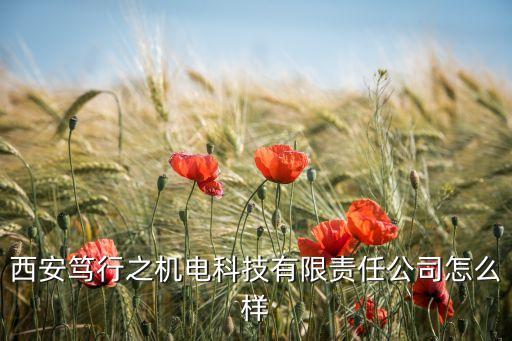 蓮湖自動(dòng)化設(shè)備公司,東莞凌晨自動(dòng)化科技有限公司怎么樣?