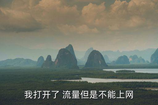 流量開了沒網(wǎng)絡(luò)移動數(shù)據(jù)流量怎么辦