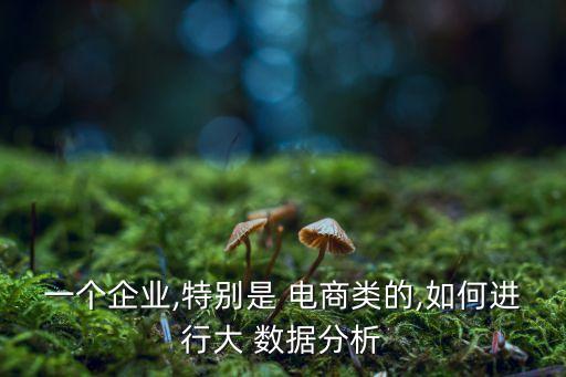 一個企業(yè),特別是 電商類的,如何進(jìn)行大 數(shù)據(jù)分析
