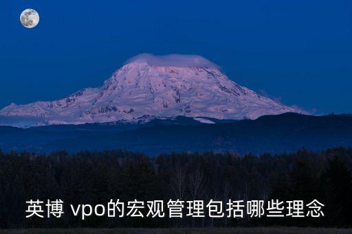 英博 vpo的宏觀管理包括哪些理念