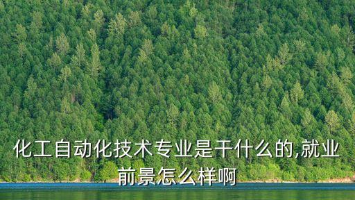 化工自動化技術(shù)專業(yè)是干什么的,就業(yè)前景怎么樣啊