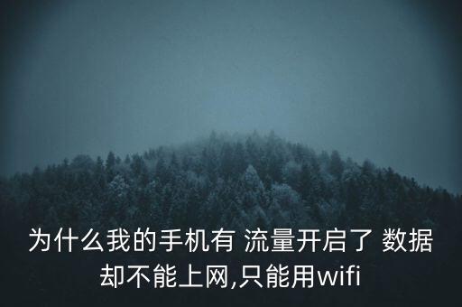 為什么我的手機有 流量開啟了 數(shù)據(jù)卻不能上網(wǎng),只能用wifi