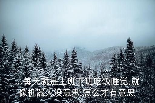 ...每天就是上班下班吃飯睡覺,就像機(jī)器人沒意思,怎么才有意思