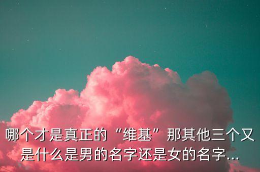 英文維基百科,如何將百度百科變成英文版?