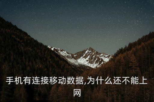 手機(jī)有連接移動數(shù)據(jù),為什么還不能上網(wǎng)