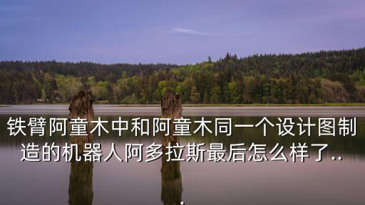 阿童木女機(jī)器人,機(jī)器人阿童木里的女主人是誰(shuí)啊?