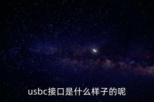 usbc接口是什么樣子的呢