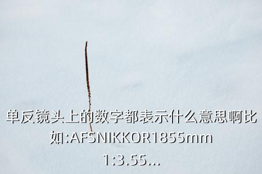 單反鏡頭 數(shù)據(jù),單反相機(jī)鏡頭參數(shù)數(shù)字意味著什么?