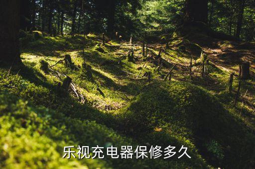 樂視充電器保修多久