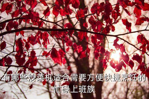 有哪些炒菜機適合需要方便快捷烹飪的忙碌上班族