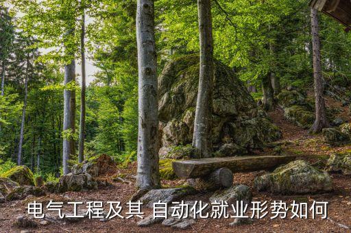  電氣工程及其 自動化就業(yè)形勢如何
