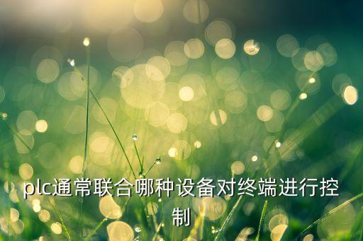 plc通常聯(lián)合哪種設(shè)備對(duì)終端進(jìn)行控制