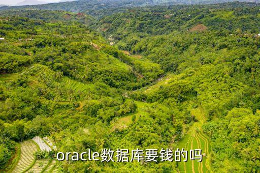 數(shù)據(jù)庫收費價格,華為數(shù)據(jù)庫軟件訂閱費如何收費?