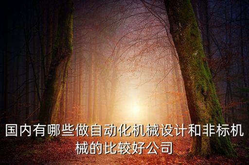 國(guó)內(nèi)有哪些做自動(dòng)化機(jī)械設(shè)計(jì)和非標(biāo)機(jī)械的比較好公司