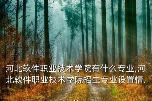 河北軟件職業(yè)技術(shù)學(xué)院有什么專業(yè),河北軟件職業(yè)技術(shù)學(xué)院招生專業(yè)設(shè)置情...